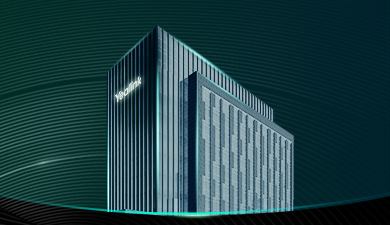 ���޹��ʡ�(����)���޹�˾����