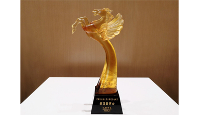 ���޹��ʡ�(����)���޹�˾����