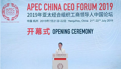 ���޹��ʡ�(����)���޹�˾����