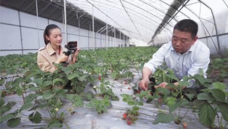 ������ѵֱ��